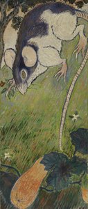 De Rat door Felix Pissarro